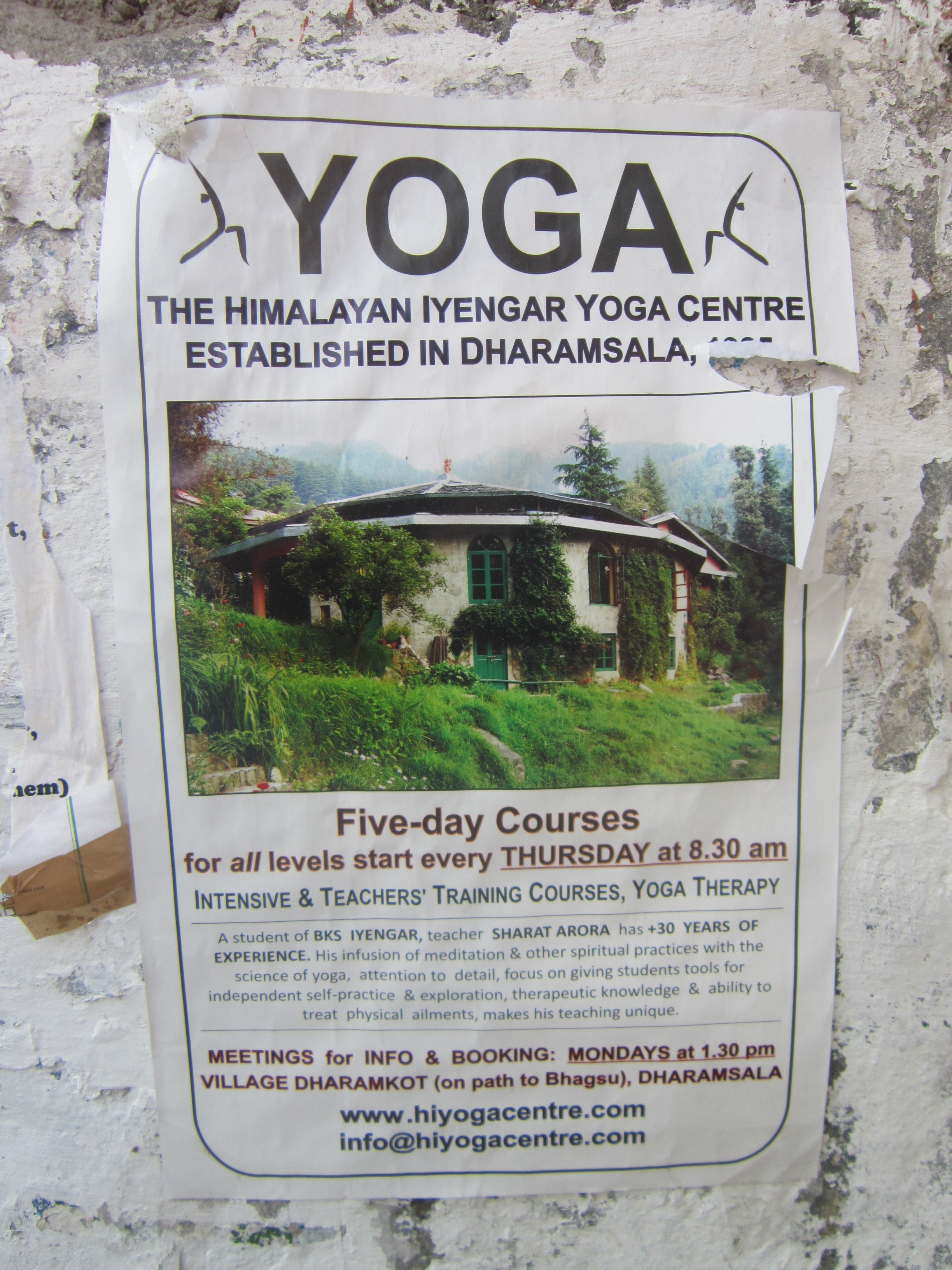 Dharamkot India yoga classes poster