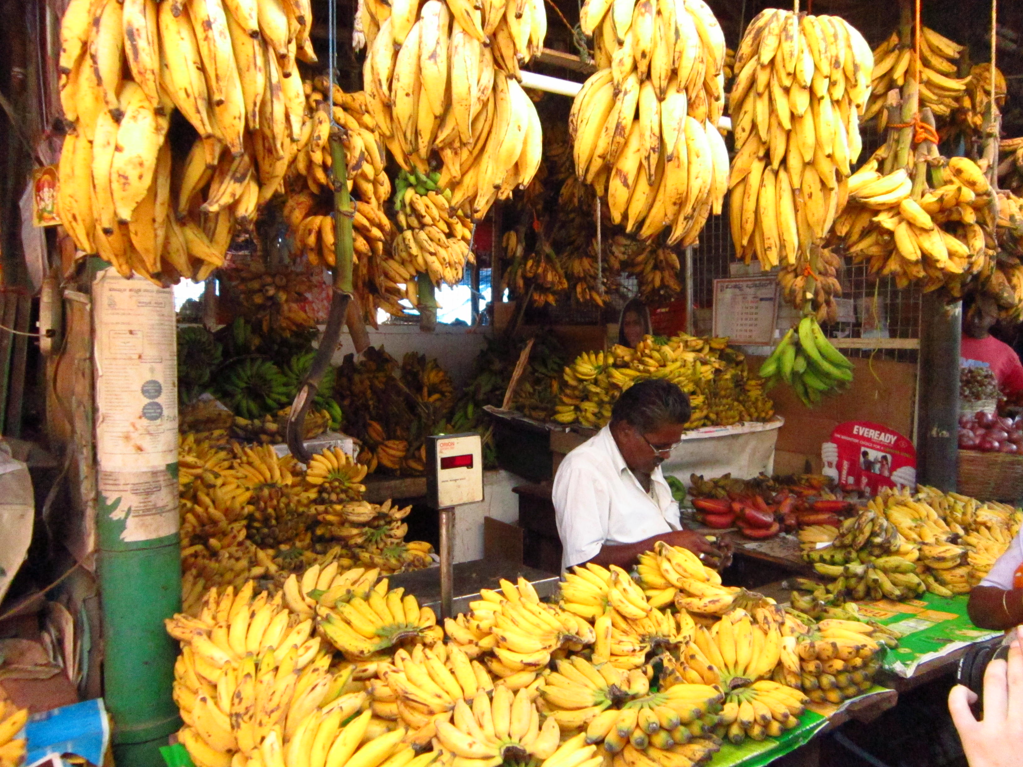 Mysore India market food