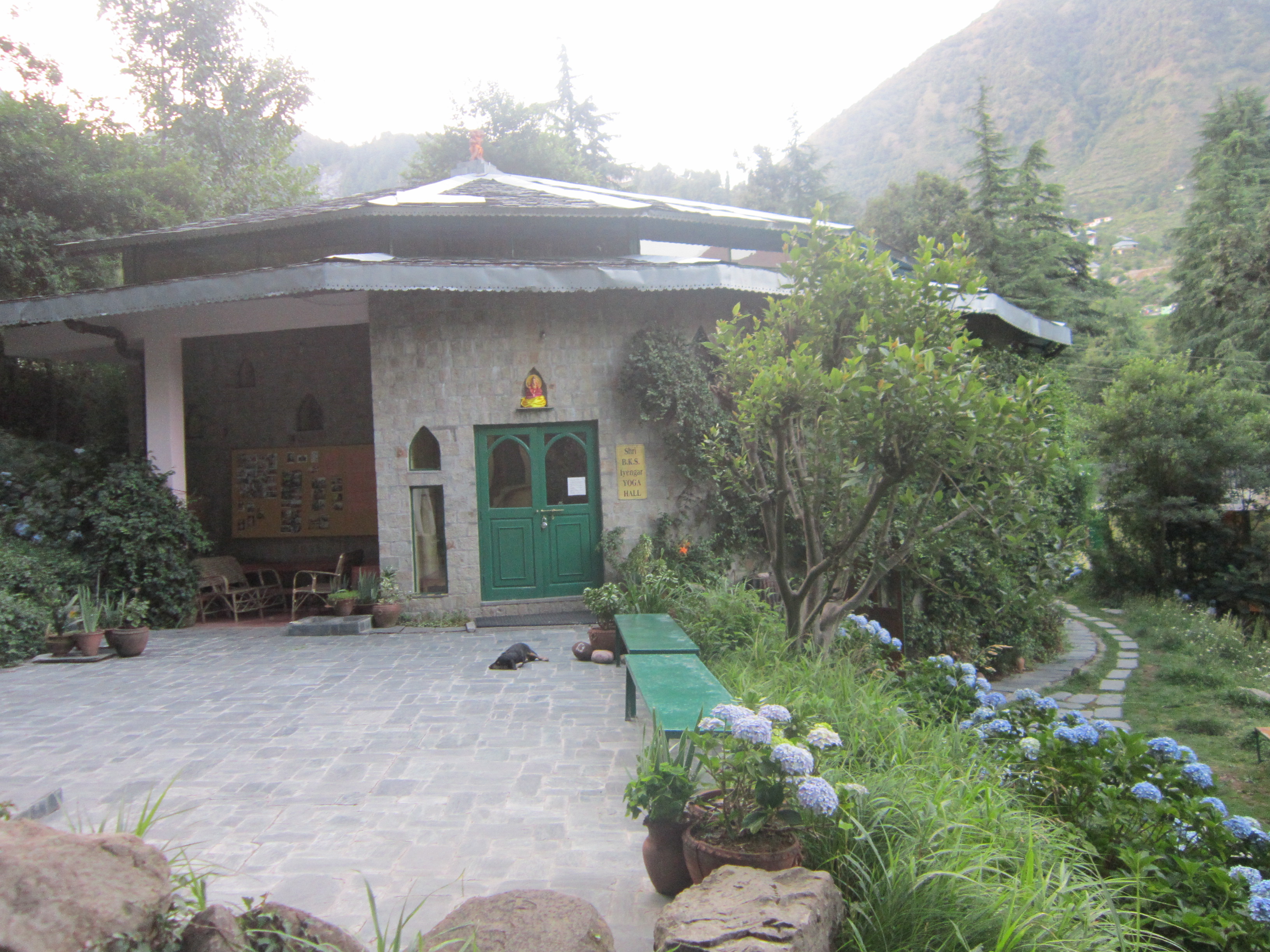 Dharamkot Dharamsala India Iyengar yoga centre