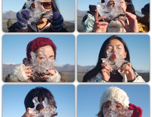 icebergs iceland faces WWF volunteers