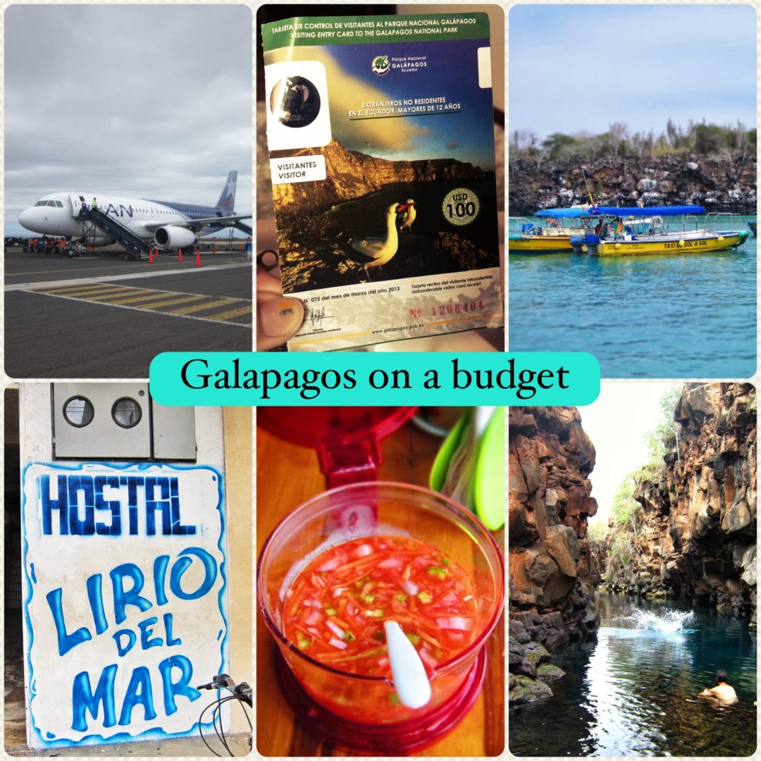 cheap galapagos cruise